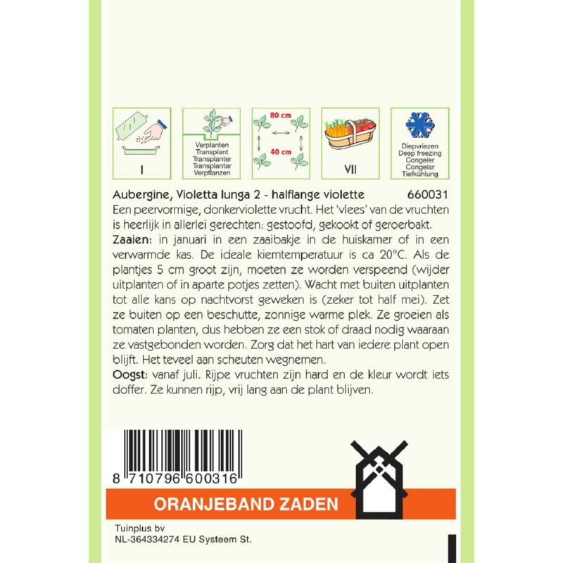 Oranjeband® Eggplant Halflong Purple