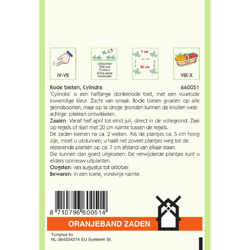Oranjeband® Beetroot Cylindra