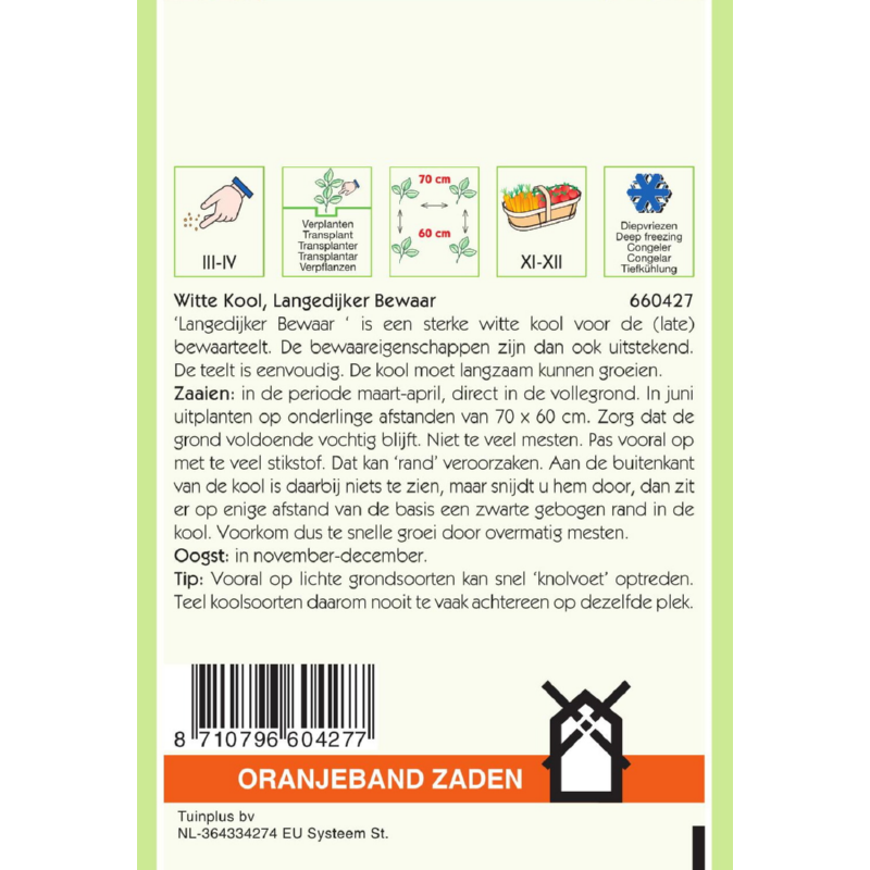 Oranjeband® Cabbage Holland Late Winter - Langedijk 4