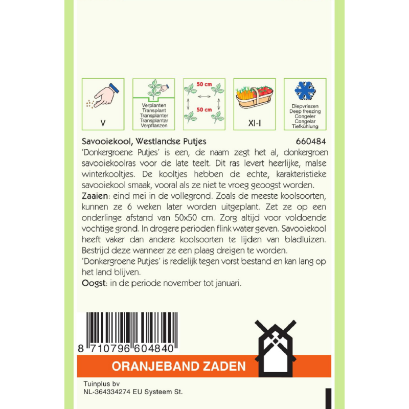 OBZ Savooiekool Westlandse Putjes