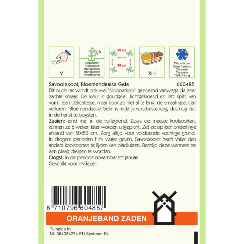 OBZ Savooiekool Bloemendaalse gele