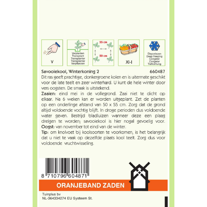 OBZ Savooiekool Winterkoning 2