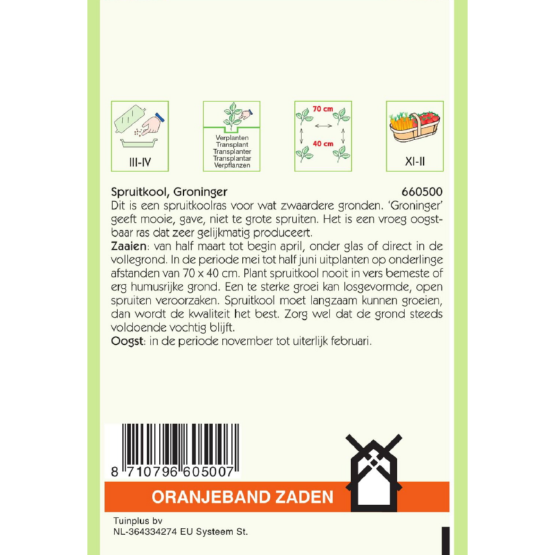 OBZ Spruitkool Groninger