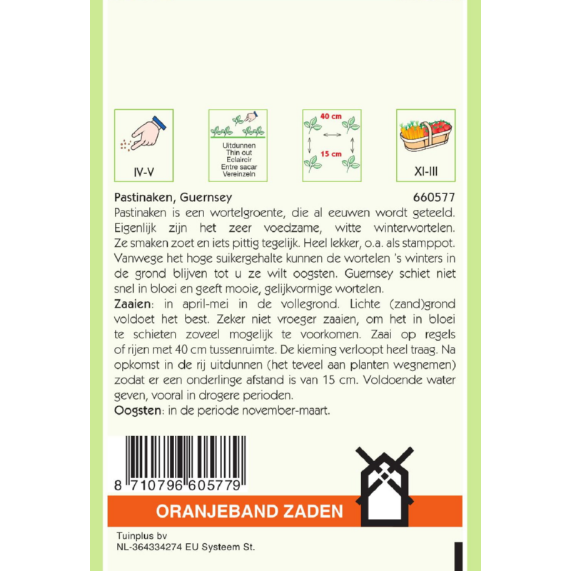 Oranjeband® Parsnip Guernsey (Hollow Crown)