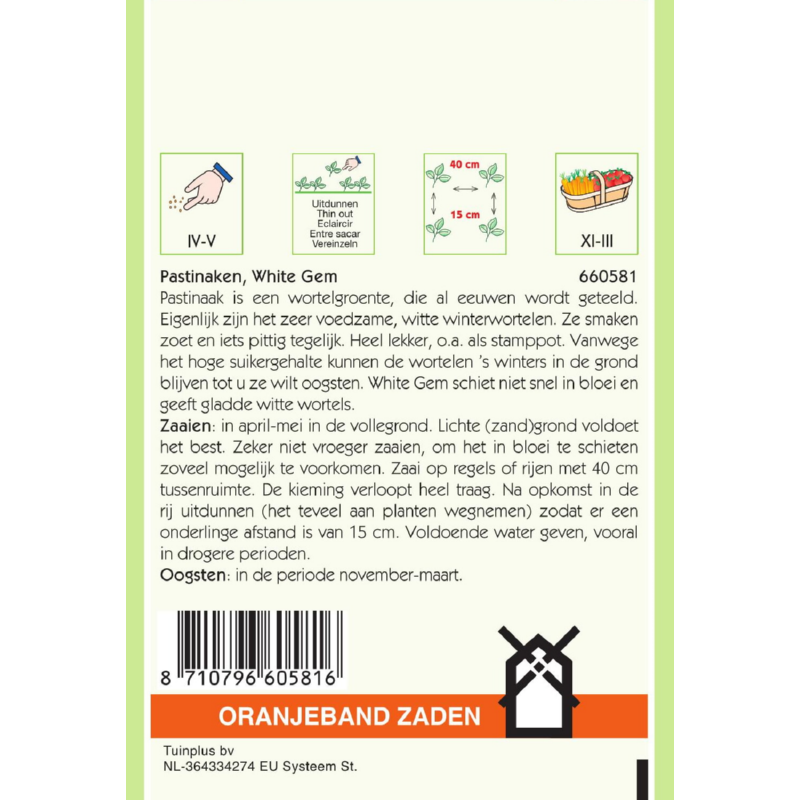 Oranjeband® Parsnip White Gem
