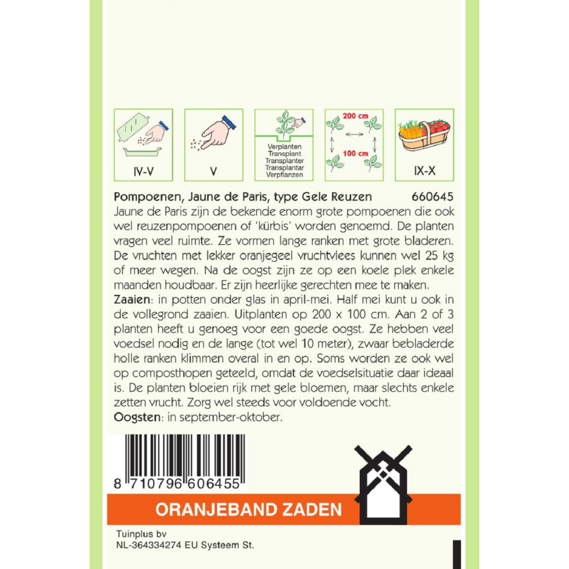 OBZ Pompoenen Jaune De Paris