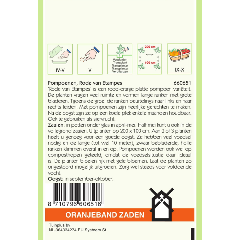 OBZ Pompoenen Rode Van Etampes