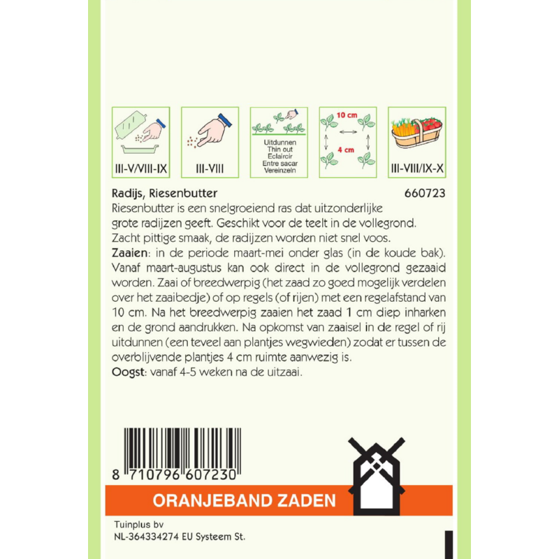 Oranjeband® Radish Crimson Giant - Riesenbutter