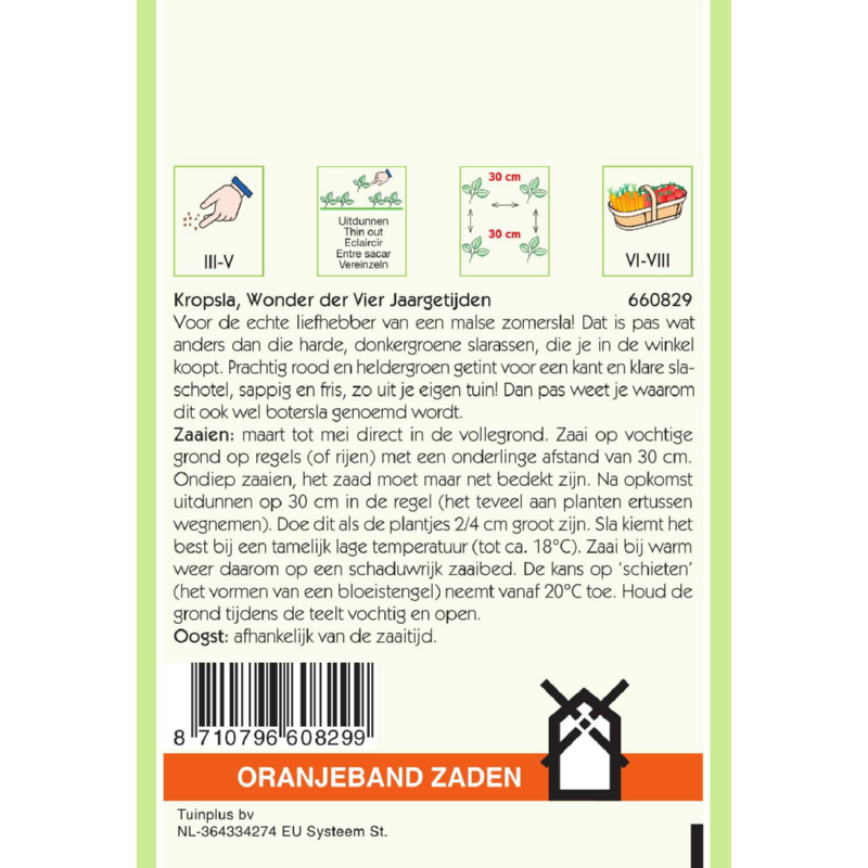 Oranjeband® Lettuce Merveille des quatre Saisons