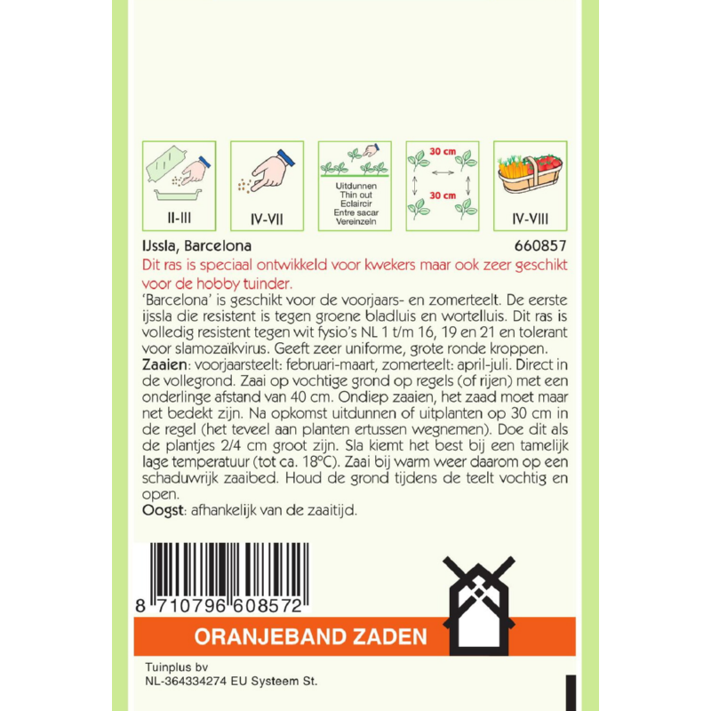 Oranjeband® Lettuce Barcelona