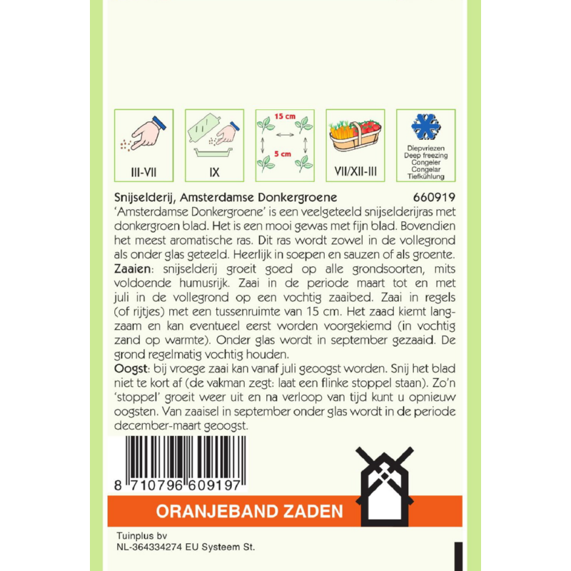 Oranjeband® Celery Amsterdam, For Cutting