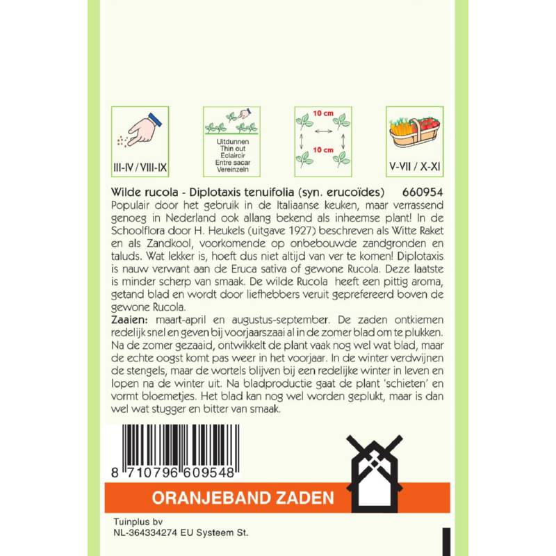 OBZ Wilde Rucola - Diplotaxis