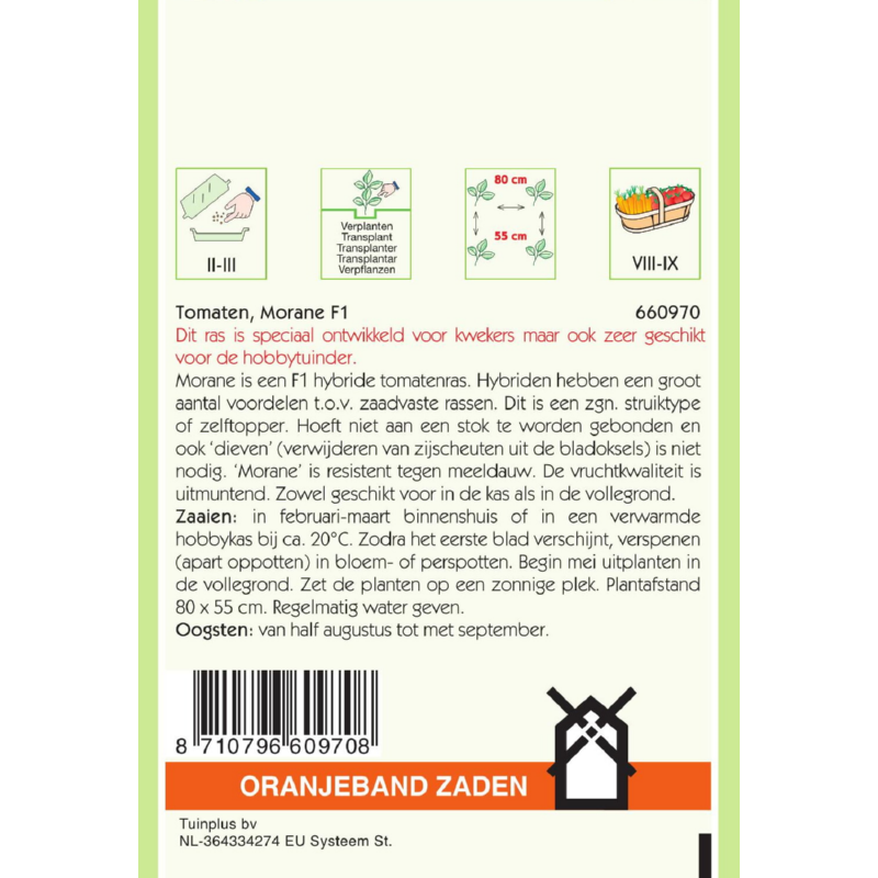 OBZ Tomaten Morane F1