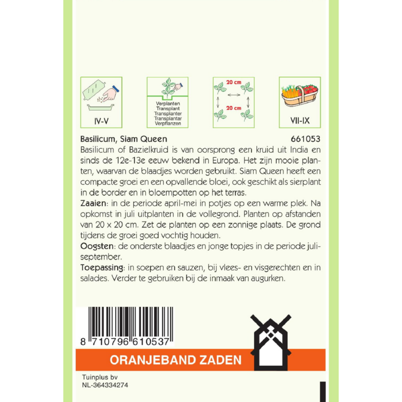 Oranjeband® Basil Siam Queen