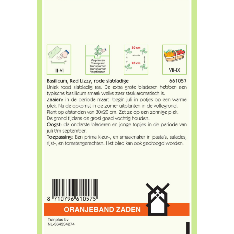 OBZ Basil Red Lizzy - Red Lettuce Leaved