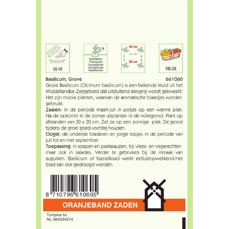 Oranjeband® Large Sweet Basil (Ocimum basilicum)