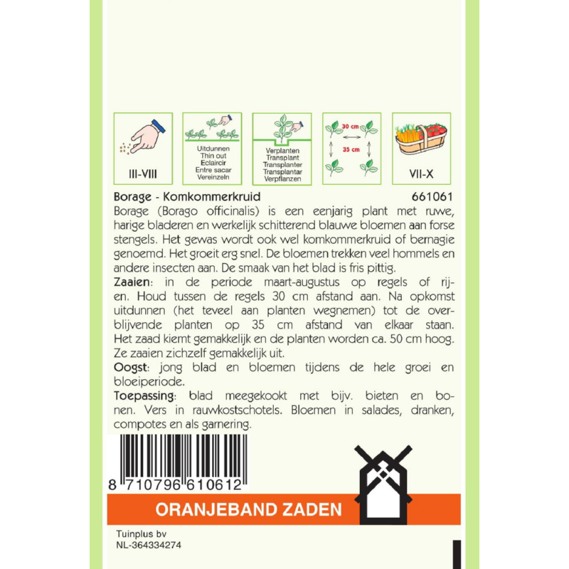 OBZ Borage Komkommerkruid