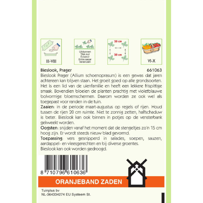 Oranjeband® Chives Prager