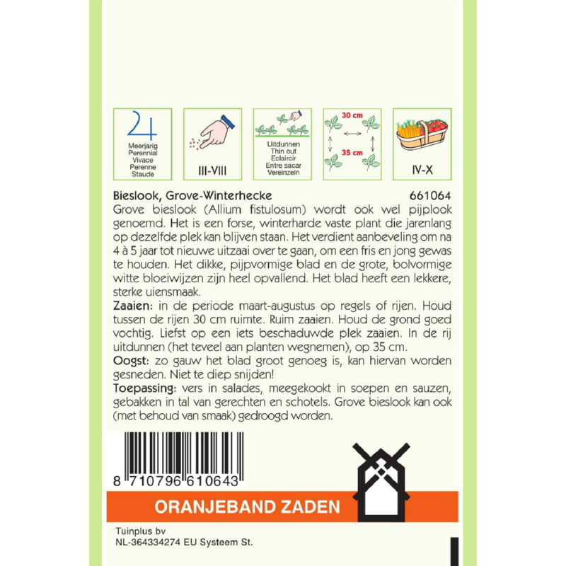 Oranjeband® Allium Fistulosum - Onion W.Welsh