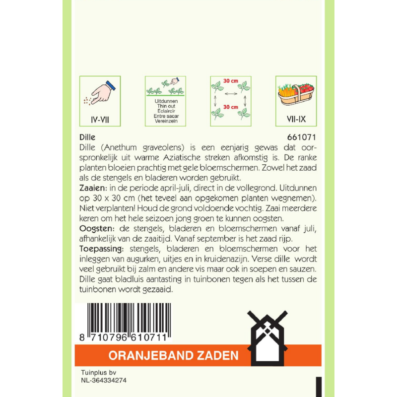 Oranjeband® Dill Anethum Graveolens