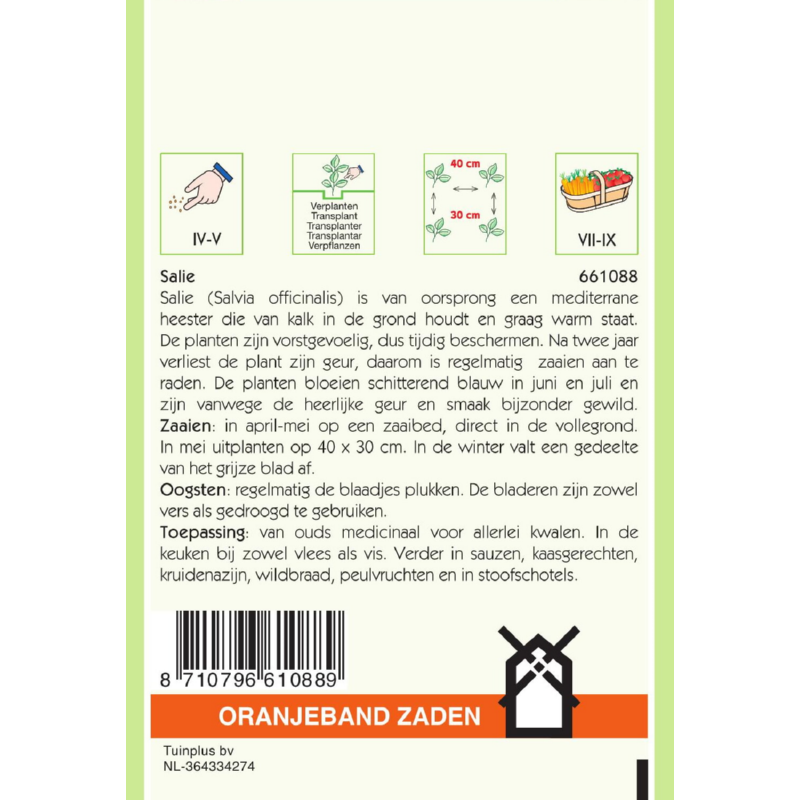 Oranjeband® Salvia Officinalis / Broad-Leaved Sage