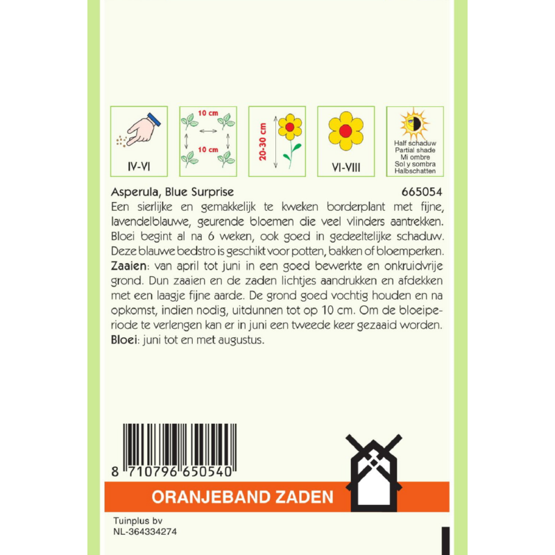 Oranjeband® Asperula, Blue Woodruff Blue Surprise