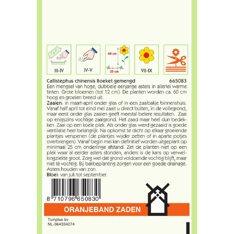 OBZ Callistephus, Aster Boeket gemengd