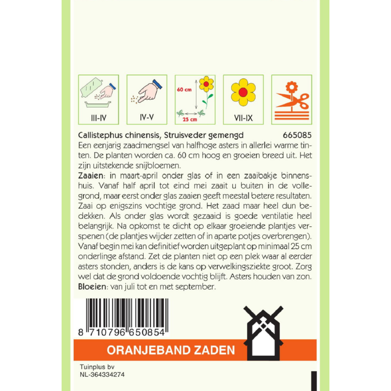 Oranjeband® Callistephus chin. Ostrich Plume mixed