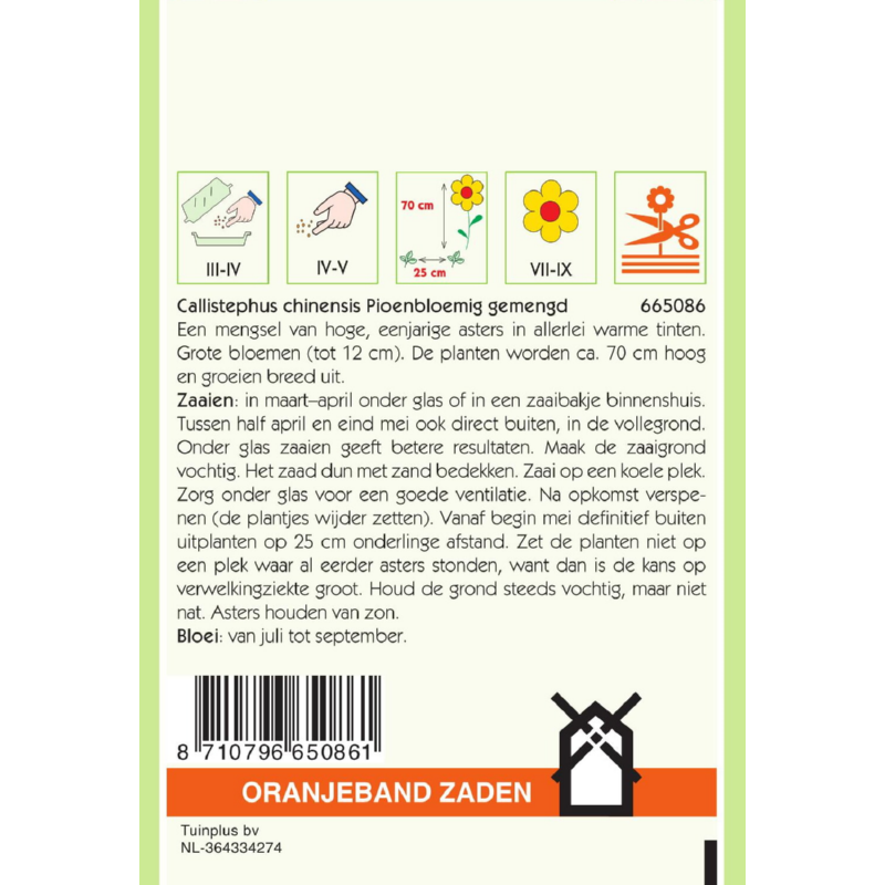 OBZ Callistephus, Aster Pioenbloemig gemengd