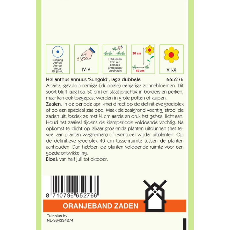 Oranjeband® Helianthus Sungold