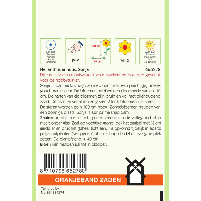 Oranjeband® Helianthus annuus Orange With Dark Center