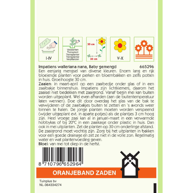 Oranjeband® Impatiens Walleriana Baby Mixed