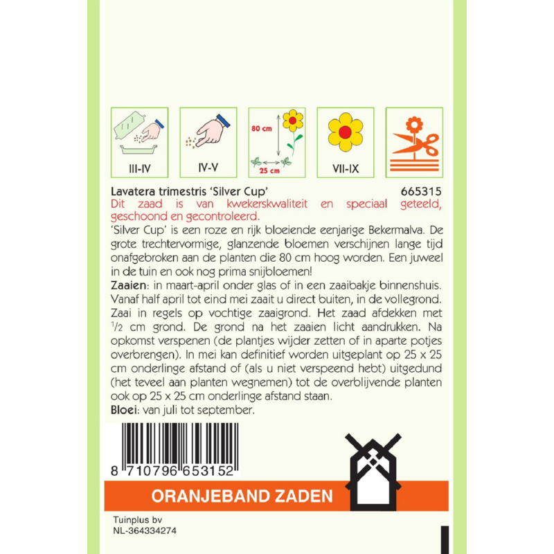 Oranjeband® Lavatera Trimestris Silver Cup