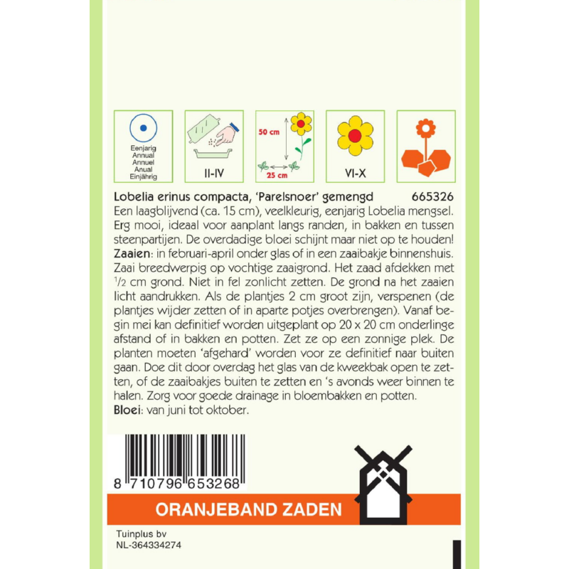 Oranjeband® Lobelia er.comp. String of Pearls