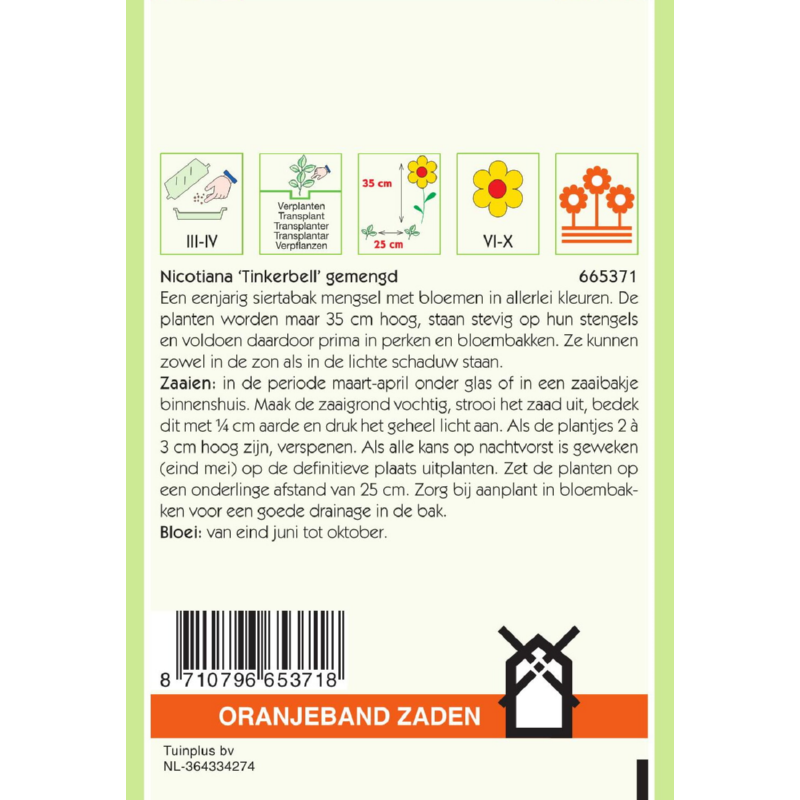 Oranjeband® Nicotiana Nana Tinkerbell Mixture