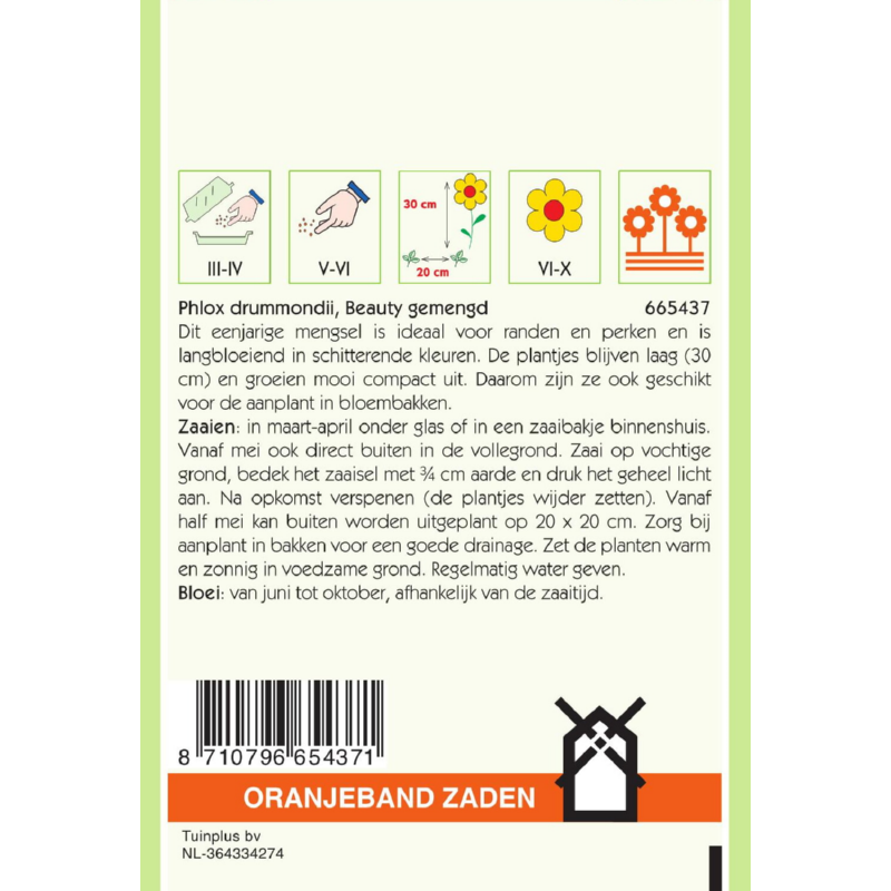 Oranjeband® Phlox Drum. Nana Compacta Beauty Mixed