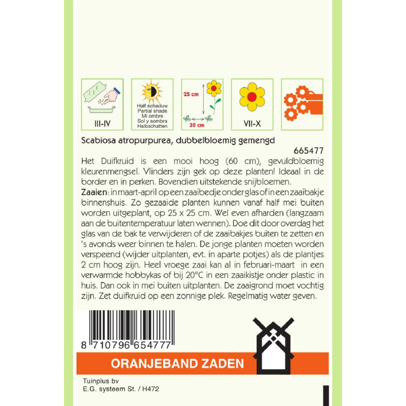 Oranjeband® Scabiosa Atropurpurea Grandiflora Mixed