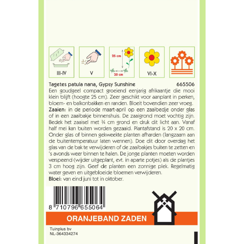 Oranjeband® Tagetes Patula Nana Gypsy Sunshine