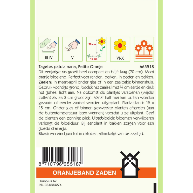 Oranjeband® Tagetes Patula Nana Petite Orange
