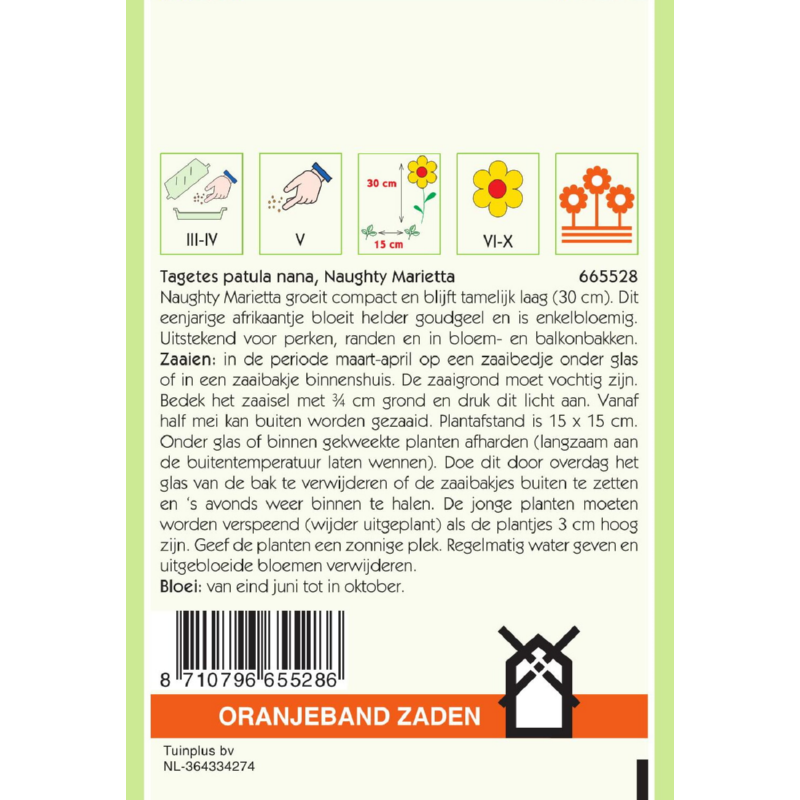 Oranjeband® Tagetes patula nana Naughty Marietta