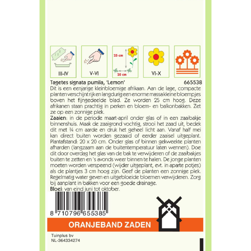 OBZ Tagetes, Afrikaan Lemon kleinbloemig, geel