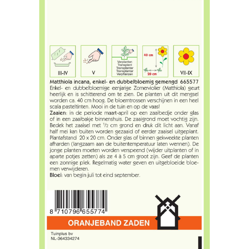 Oranjeband® Matthiola incana Ten Week double mixed