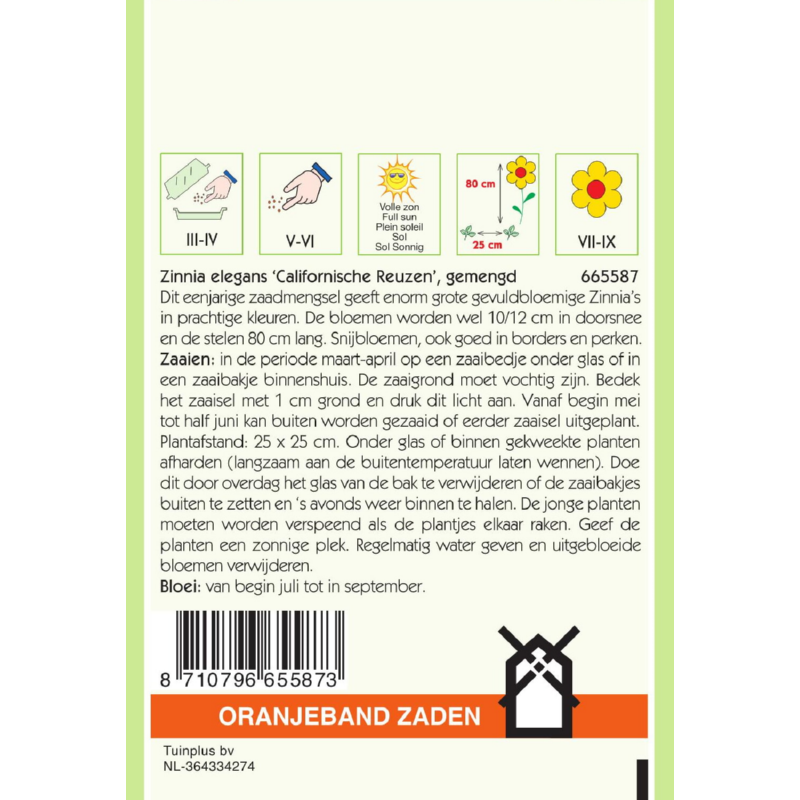 Oranjeband® Zinnia elegans Giants of California mixed