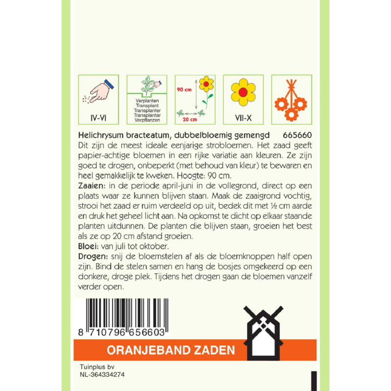 Oranjeband® Helichrysum Bract.Monstrosum Double Mixed