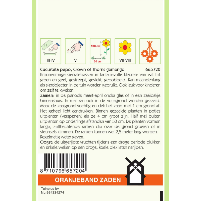 Oranjeband® Cucurbita pepo Crown Of Thorns