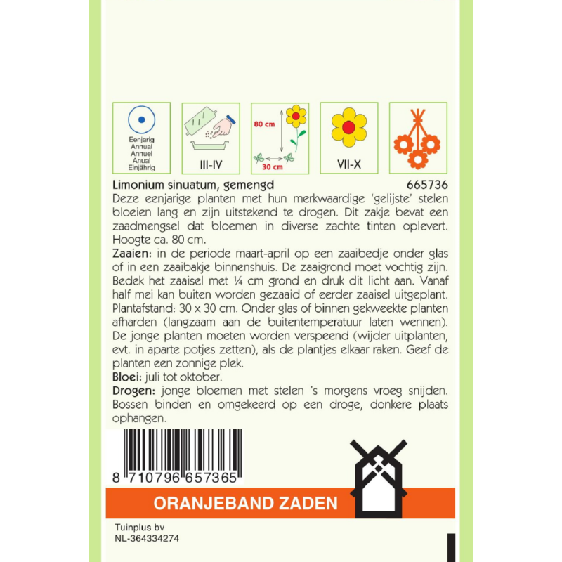 Oranjeband® Limonium Sinuatum Pacific Mixed (C.S.)