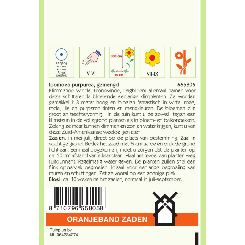 OBZ Ipomoea, Klimmende Winde, gemengd