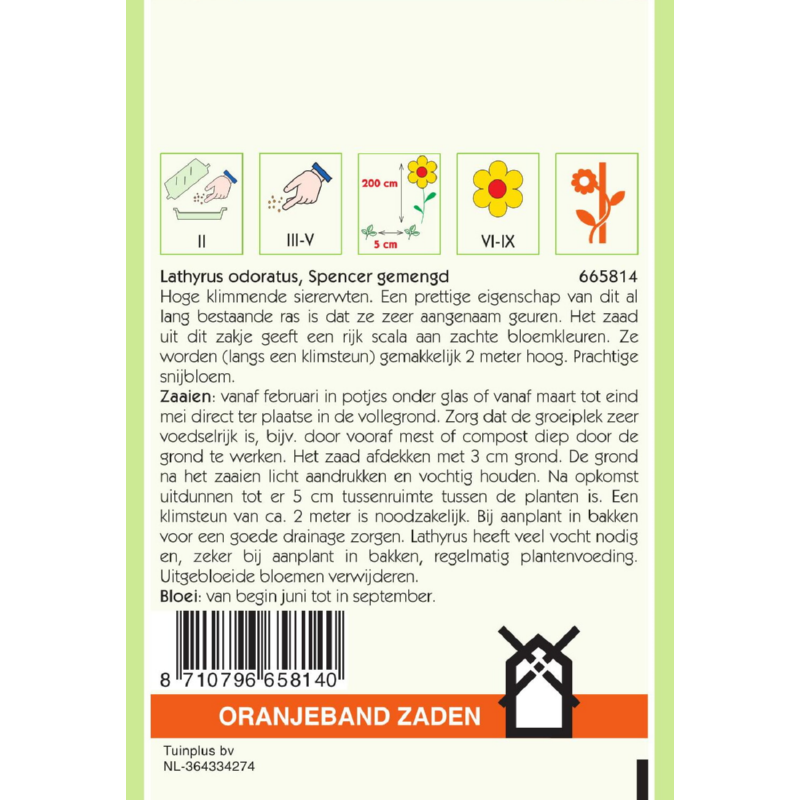 Oranjeband® Lathyrus odoratus Spencer Mixed