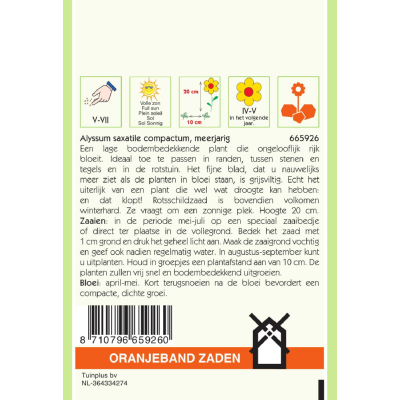 Oranjeband® Alyssum Saxatile Golddust