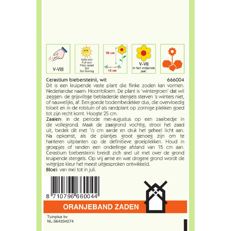 OBZ Cerastium, Hoornbloem, wit